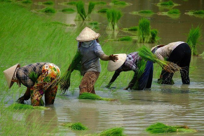 2-Day Mekong Delta and Floating Markets Private Tour - From Ho Chi Minh City Pickup to Cai Be Pier on the Mekong