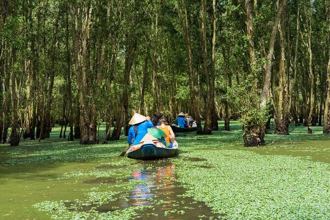 3 Days Mekong Delta Tours from Ho Chi Minh to Phnompenh - Day 2 Morning at Tra Su Bird Sanctuary: Mangrove Canals and Wading-Bird Watching