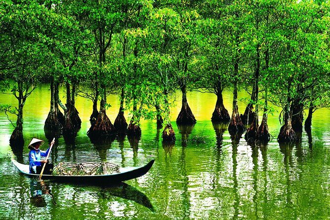 5-Day Best of Southern Vietnam: Cu Chi Tunnels & Mekong Delta - How the tour feels in real life: guides and service
