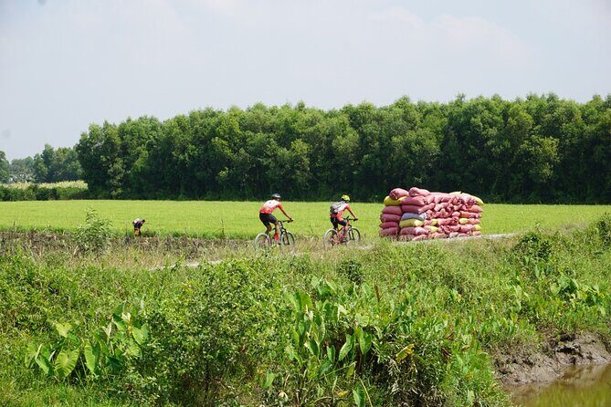 Bike And Boat Mekong Delta Cycling Tour - 7:30 pickup at Saigon Opera House and your first hour of setup