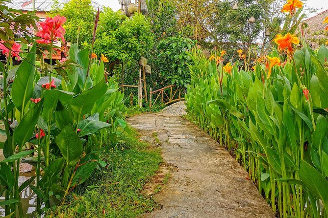 Cai Be Village - One-Day Mekong Delta Adventure - Guides, Groups, and Logistics That Affect Your Day