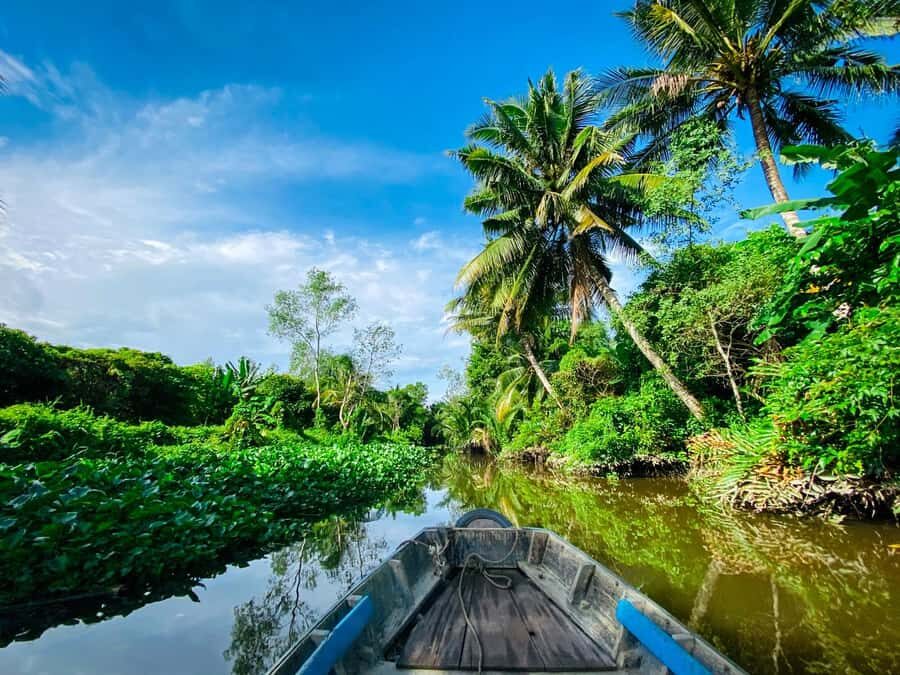 Can Tho: A Real Mekong Tour, Floating Market, Cacao & Life's - Fruit garden tasting: education plus the best kind of souvenir