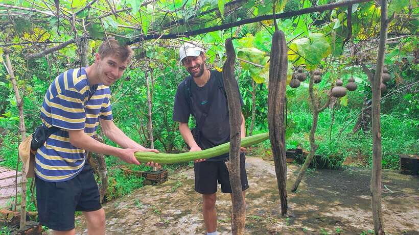 Can Tho: Authentic Mekong Delta – Real Local Life Tour. - Price vs value: why $36 can feel like more