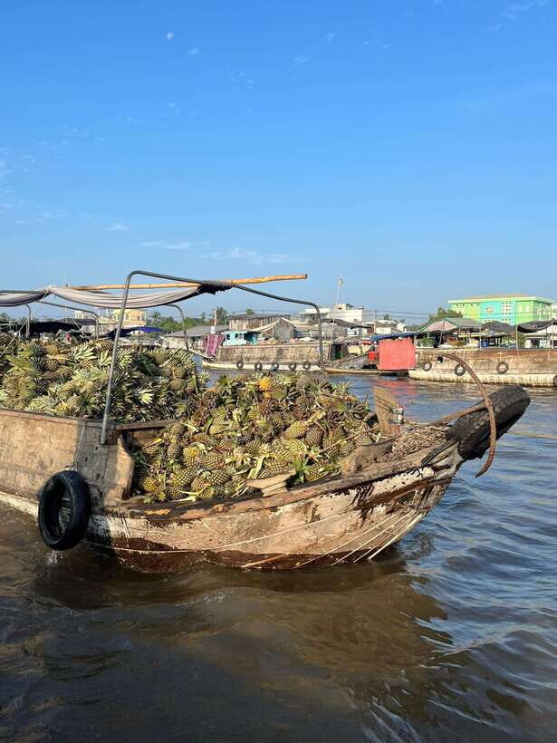 Can Tho: Cai Rang Floating Market and Canals - Breakfast and fruit on the boat: what you actually get