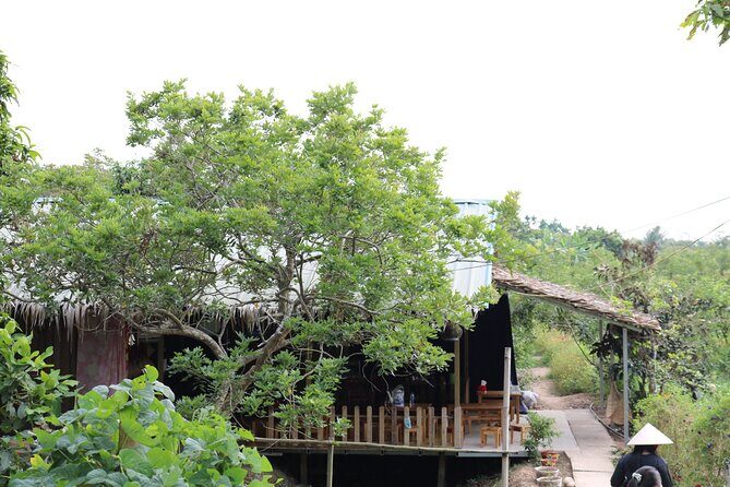 Can Tho day tour: fruit garden&floating fish farm in Son islet - Hands-on local cake making: fun, practical, and not rushed