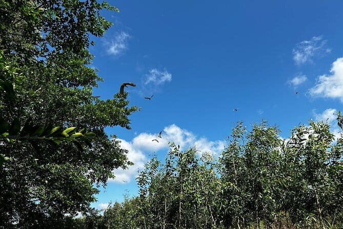 Can Tho: Explore Craft Village & Lung Ngoc Hoang Nature Reserve - Getting There from Can Tho: The Drive Shapes the Day