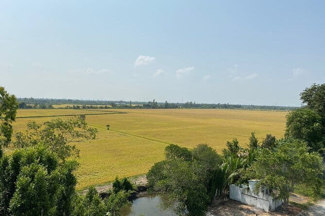 Can Tho: Explore Craft Village & Lung Ngoc Hoang Nature Reserve - The 25-Meter Observation Tower: Views You Can Orient With
