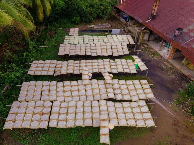 Can Tho: Explore Mekong, Floating Market, Cacao & Local Life - Village Walk and Fruit Gardens: A Rural Pace