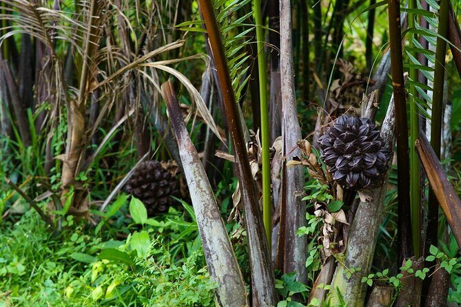 Can Tho Floating Market and Fruit Garden Tour - The Fruit Garden Stop: Seasonal Tasting With a Farming Point of View