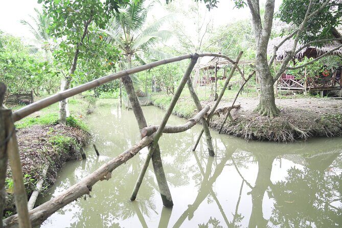 Can Tho Floating Market and Fruit Garden Tour - Traditional Noodle Factory Visit: A Small Stop With Big Context