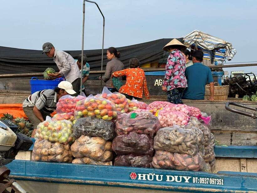 Can Tho: Floating Market, Canal, Cacao Farm & Mekong' Life - Organic cacao farm: tasting beyond the market labels