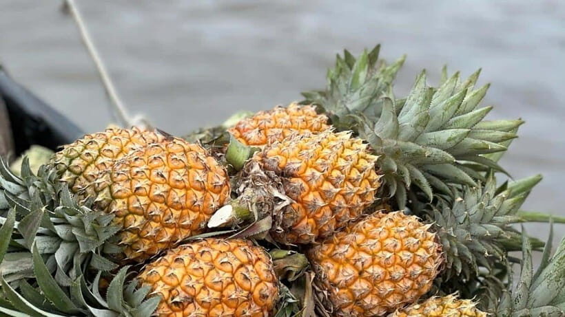 Can Tho: Floating Market explore local life, Mekong farm - The Mekong by small boat and peaceful canals (what you’ll really notice)