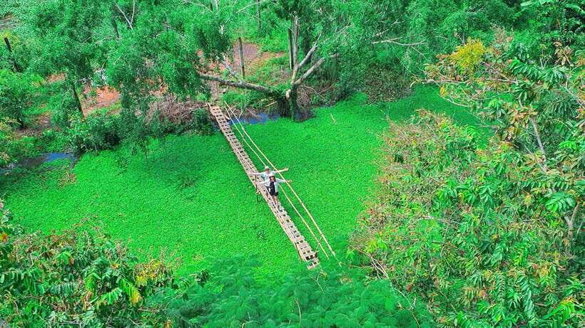 Can Tho: Floating Market & Lung Ngoc Hoang Nature Reserve - Should you book Can Tho: Floating Market & Lung Ngoc Hoang?