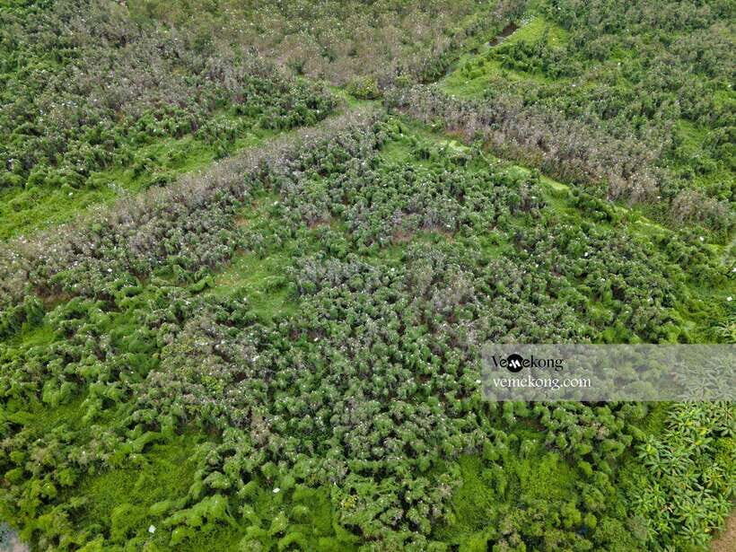 Can Tho: Lung Ngoc Hoang Forest Nature Reserve Half-Day Tour - Boat ride through Lung Ngoc Hoang wetlands: canals, birds, and quiet time