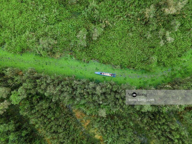 Can Tho: Lung Ngoc Hoang Forest Nature Reserve Half-Day Tour - Light trekking on pancake paths (and the boat option if you prefer)
