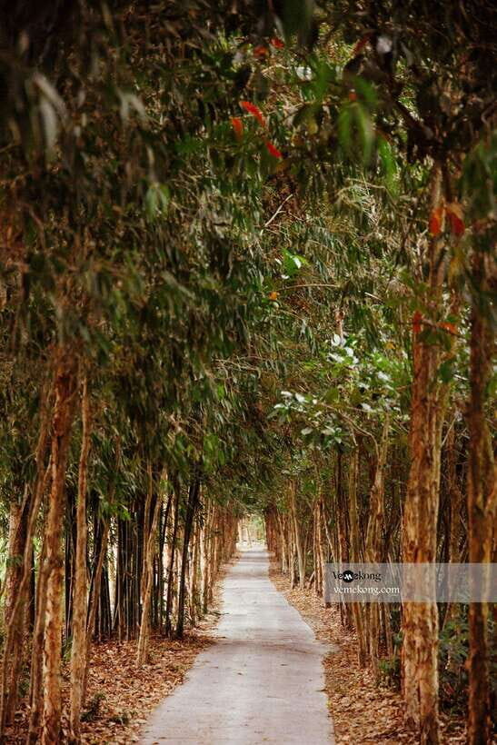 Can Tho: Lung Ngoc Hoang Nature Reserve & Forest Tour - Why Lung Ngoc Hoang beats the usual Can Tho routine