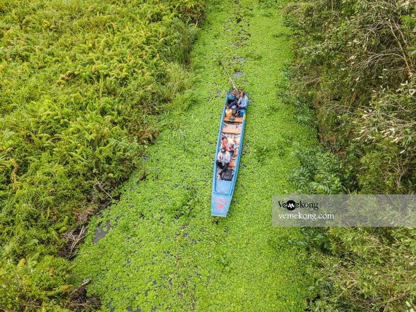 Can Tho: Lung Ngoc Hoang Nature Reserve & Forest Tour - Who should book this tour, and who might want something else