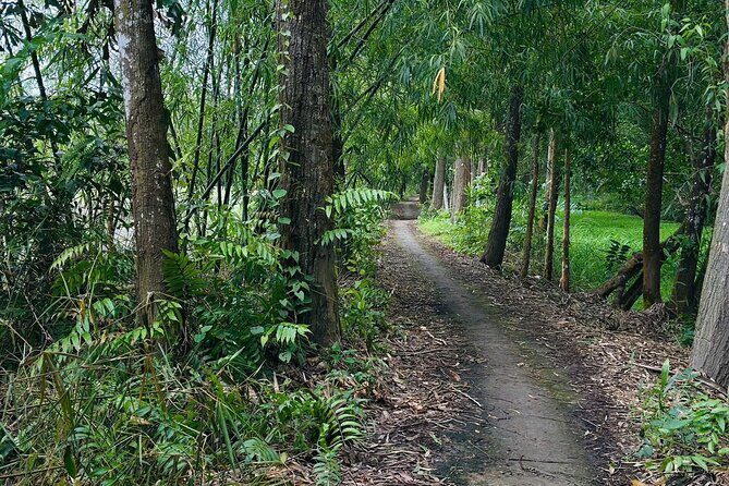 Can Tho: Lung Ngoc Hoang Nature Reserve & Hidden Forests - Forest walk or back by boat: choosing your effort