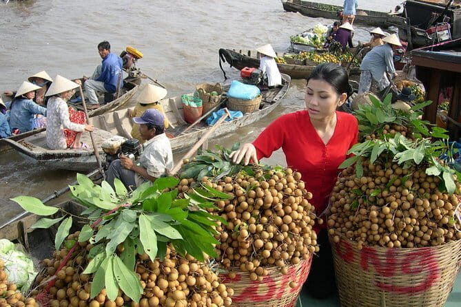 Culture and Wildlife Discovery Explore Chau Doc Tra Su Forest - The Pace, the Group Size, and Why You’ll Feel Less Rushed