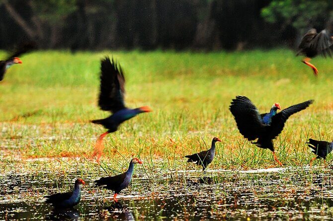 Discover Mua Xuan Nature Reserve - Guides, group size, and the value of $58 in Can Tho