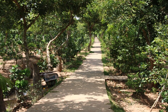 Essential Mekong Delta: Highlights Tour from Ho Chi Minh City - Tan Thạch canal by sampan: quiet water, honey tea, and a real craft lesson