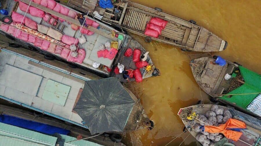 From Ho Chi Minh City: Mekong Delta Full-Day Private Tour - The Mekong Delta, Built Around Daily Life (Not Just Photos)