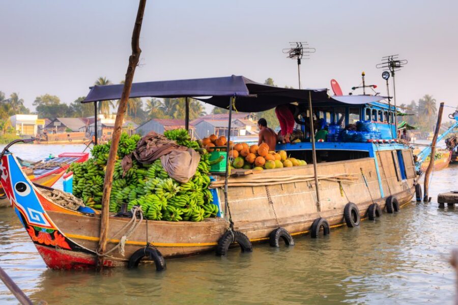 From Ho Chi Minh City: Mekong Delta Full-Day Private Tour - Price and What You’re Paying For in This Private Tour