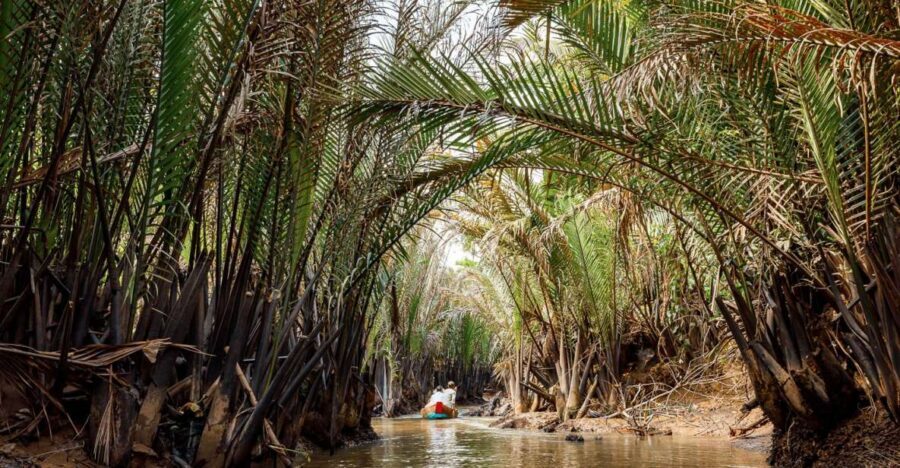 From Ho Chi Minh: Classic Mekong - My Tho, Ben Tre Full Trip - Getting out of Ho Chi Minh: the 1.5-hour drive that sets the tone