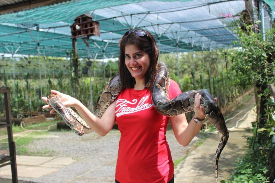 From Ho Chi Minh: Mekong Delta Private Day Tour - Honey Bee Farm, Honey Tea, and Optional Python Stop