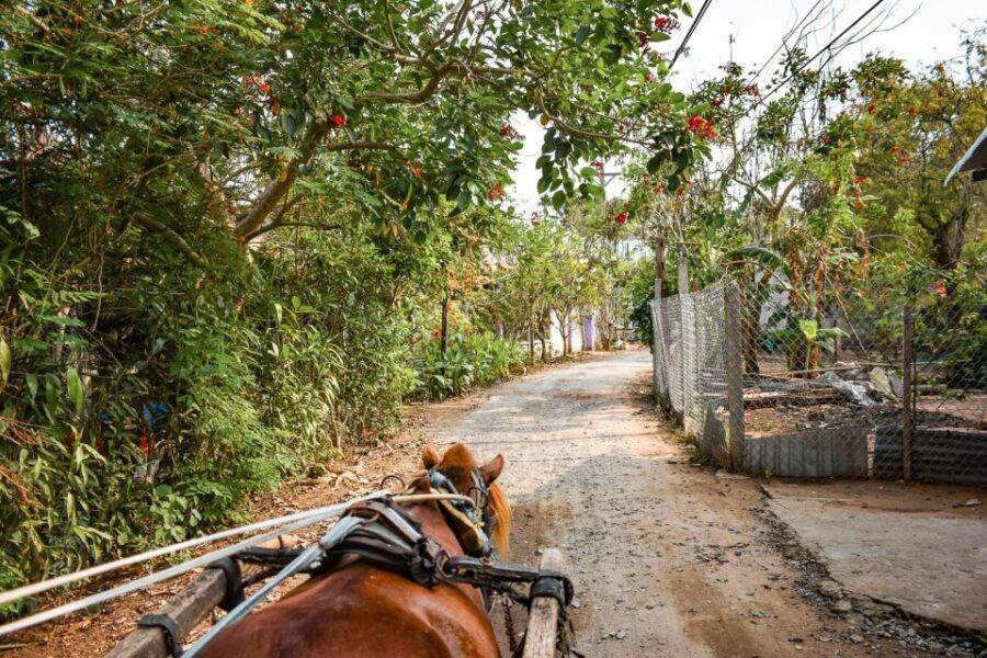 From Ho Chi Minh: Mekong Delta Private Day Tour - Vinh Trang Pagoda in My Tho: Architecture, Scale, and What to Notice
