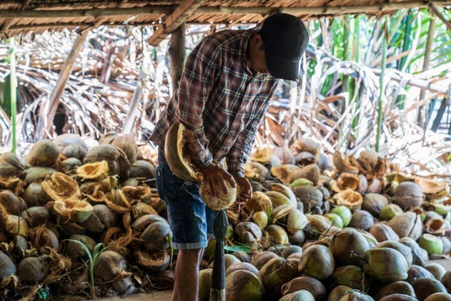 From Ho Chi Minh: Mekong Delta with Ben Tre 1 Day Tour - Morning pickup and the quick reality check