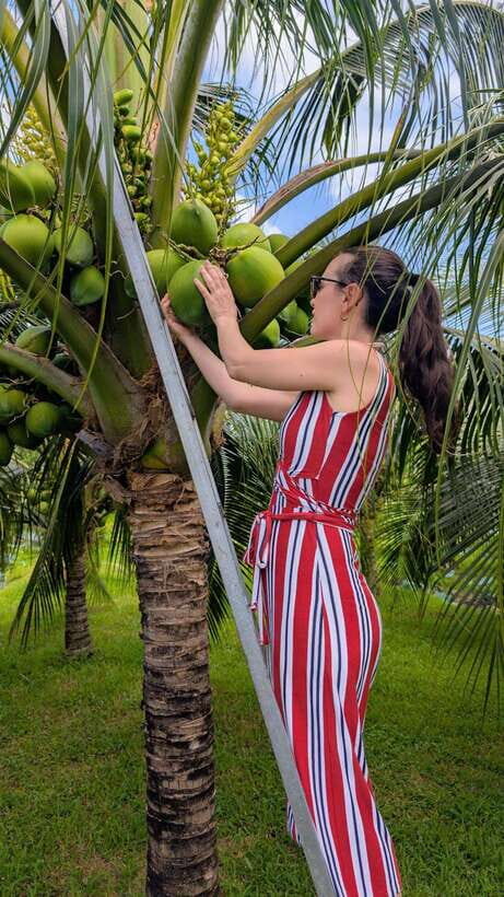 Ho Chi Minh: 1-Day Mekong Delta Tour-Floating Market & Islet - Son Islet (Cồn Sơn / Cồn Sơn) and the Hau River Side of Life