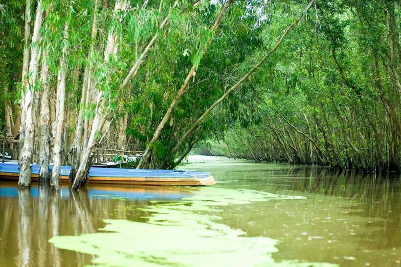 Ho Chi Minh: 3-Day Mekong Delta & Optional Exit to PhnomPenh - Chau Doc and Tra Su: rowing through mangroves and wildlife habitat