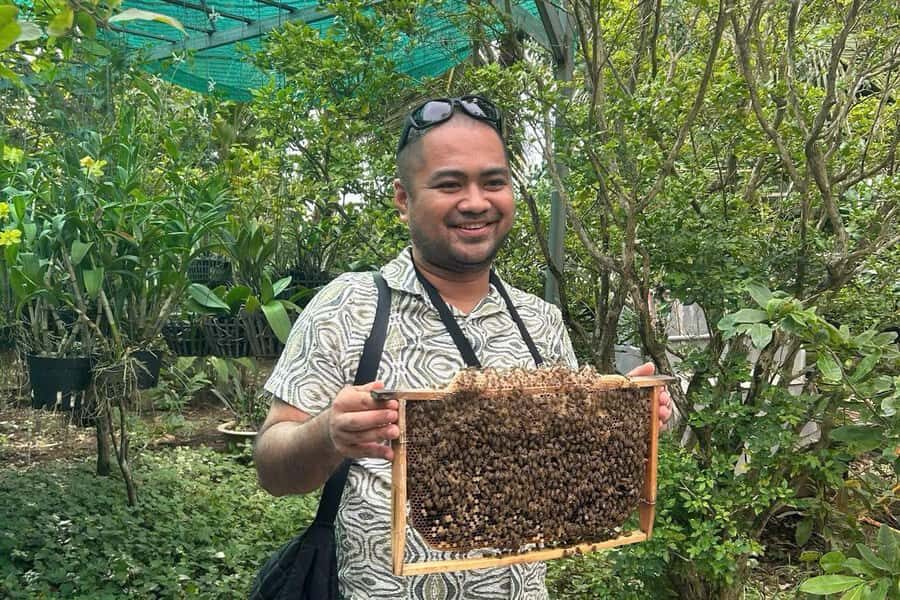 Ho Chi Minh: Adventurous Mekong Delta Full Day Tour - Bao Dinh Canal to Ben Tre: canal time plus the farming system lesson