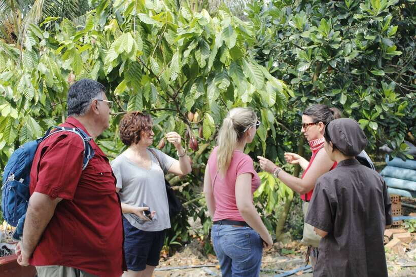 Ho Chi Minh: Cai Be-Mekong Delta Local Village Full Day Tour - Who Should Book This, and Who Should Skip It