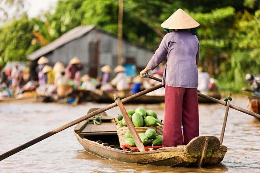 Ho Chi Minh Daily Tour: Full Day Mekong Delta (Private tour) - Key highlights that matter before you go