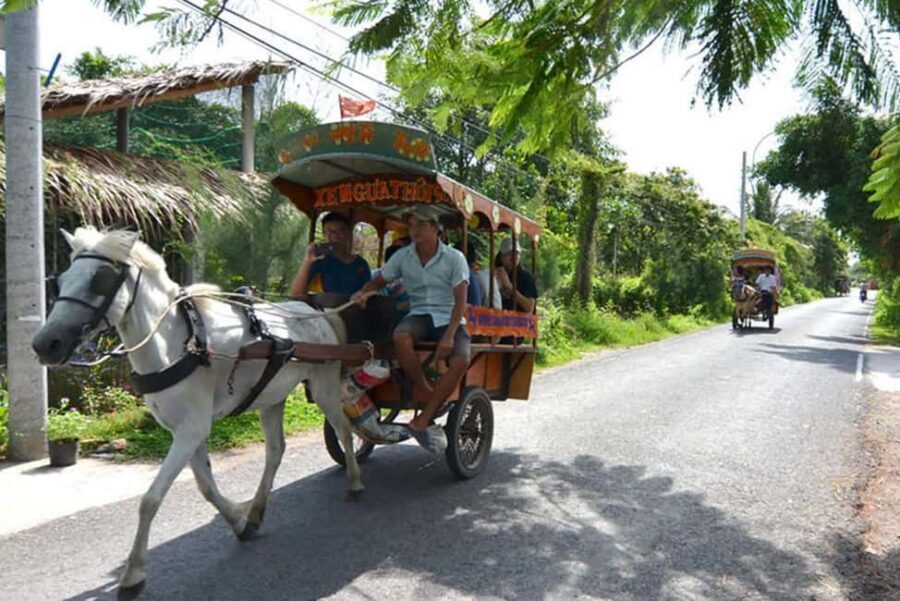Ho Chi Minh Daily Tour: Full Day Mekong Delta (Private tour) - A Private Mekong Delta Day That Actually Fits 8 Hours