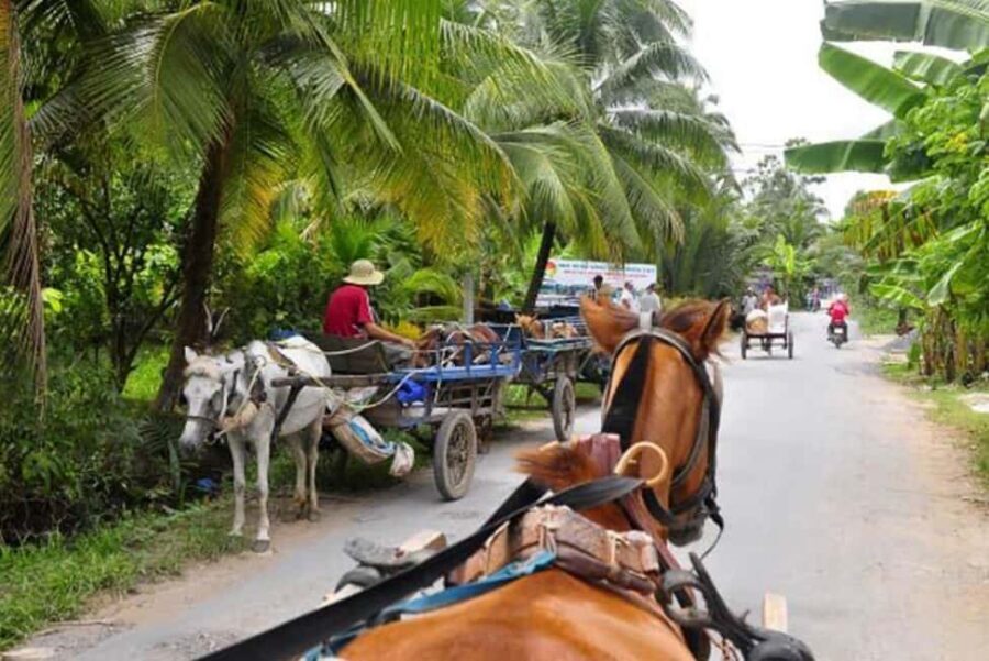 Ho Chi Minh Daily Tour: Full Day Mekong Delta (Private tour) - Horse Cart and a Slow Look at Daily Life