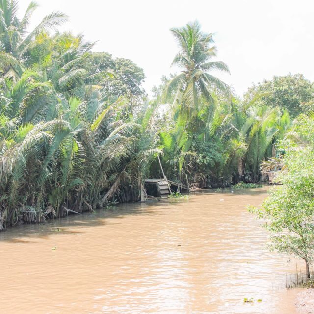 Ho Chi Minh: Mekong River Islands Private Excursion - What’s Included (and What You’ll Want to Budget For)