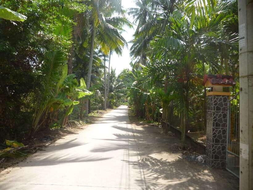 Mekong Day Tour by Car:Cai Be market, Local Island & Cycling - Key Things to Know Before You Go