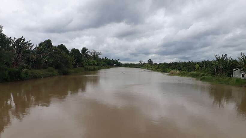 Mekong Day Tour by Car:Cai Be market, Local Island & Cycling - Lunch at a Local House: More Than Just a Meal