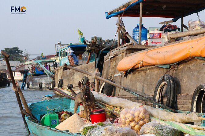Mekong day tour Visit Cai Rang Floating Market pick up in Sai Gon - Ninh Kiều Wharf cruise: the calm before Cái Răng