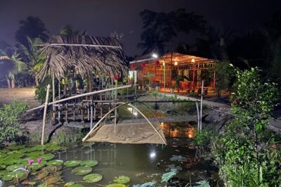 Mekong Delta 2 Days 1 Night Small Group Homestay - Bee farm, honey tea, and the fruit reality of the Mekong