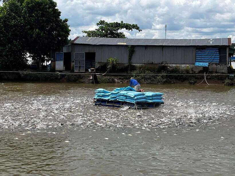 Mekong Delta 4-Day Tour: Ho Chi Minh-Chau Doc-Can Tho-Ca Mau - Day 3: Cai Rang floating market by boat and the Ca Mau cape at Vietnam’s far south