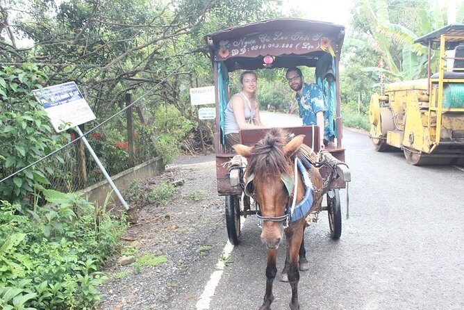 Mekong Delta Adventure by Private Car from Phu My Port - Who this Mekong Delta tour suits best