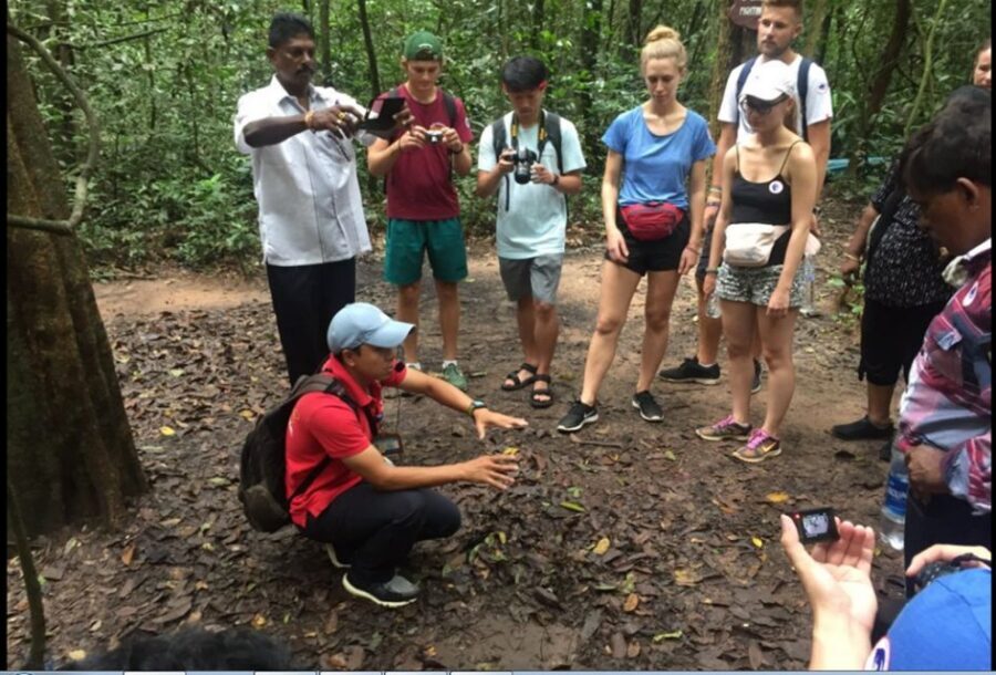 Private Cu Chi & Mekong Delta Tour: History Meets Nature - Lunch on the road: get fuel before the Mekong slows everything down