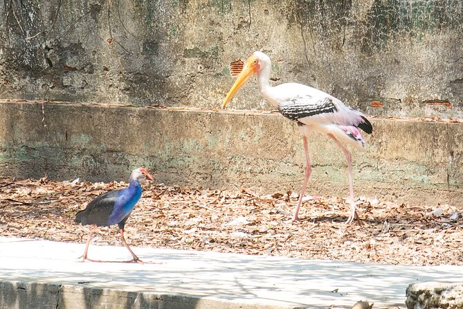 Private Full Day Mekong Delta Tour to Dong Thap Muoi Wetlands - Why Đồng Tháp Mười feels different from the usual Mekong day