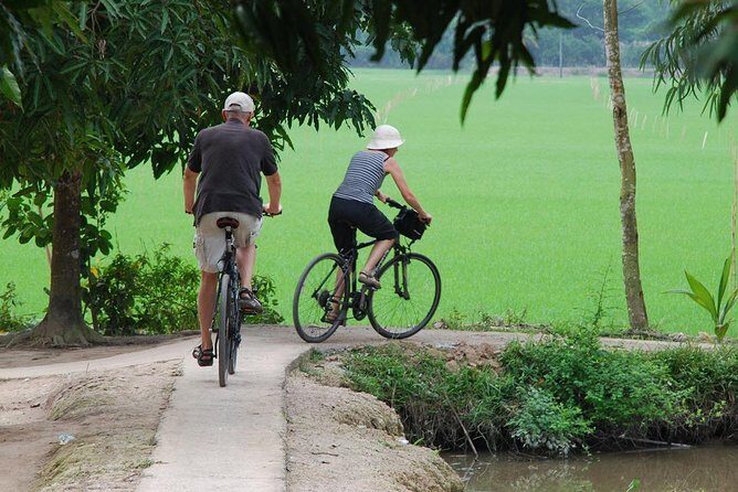Private Tour Mekong Delta Day Trip from Ho Chi Minh City - The Home-Cooked Lunch and the Fish-Catching Moment
