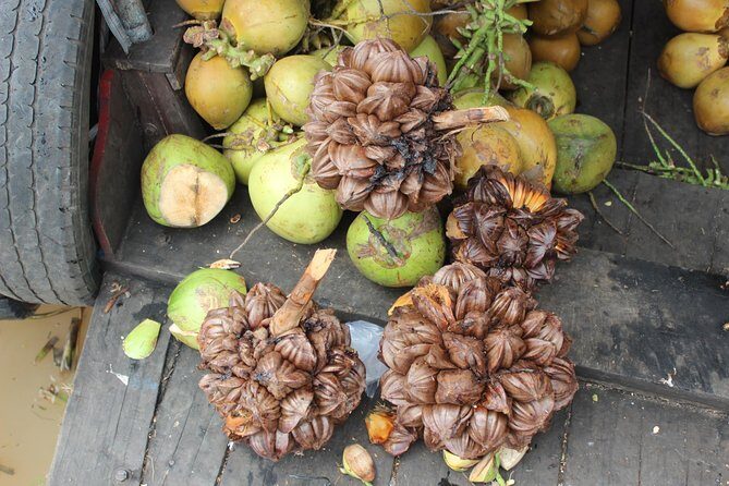 Small Group To Mekong Delta 1 Day - How the Timing and Transport Add Up (Bus + Cruise + Canal)