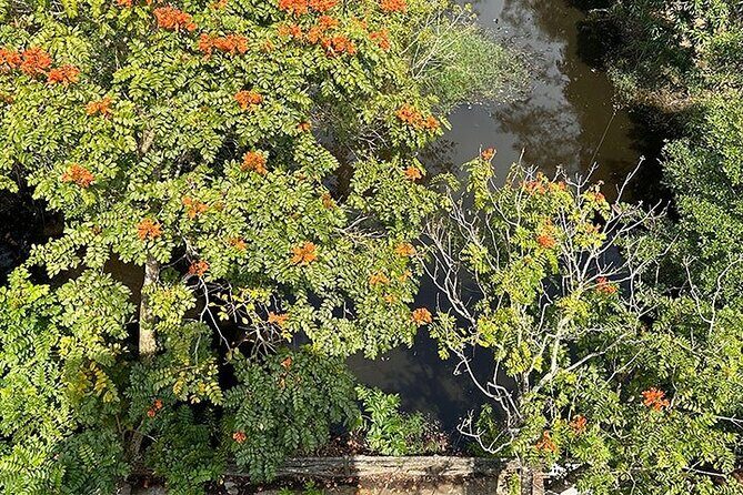 Tour for Nature lover- Lung Ngoc Hoang Nature Reserve in Can Tho - The 2:00 pm schedule and the drive out of Can Tho